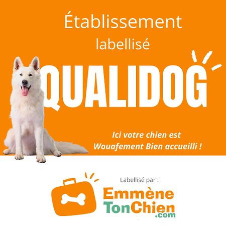 Appartamento L'Echappee Belle Dieppe Esterno foto
